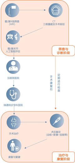 骨健康 AI一目了然 科技與教育并驅，健康未來零距離
